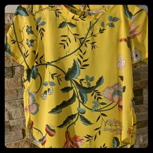 Loft blouse